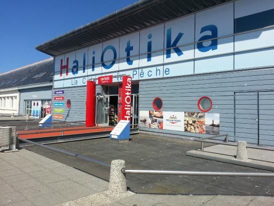 Haliotika